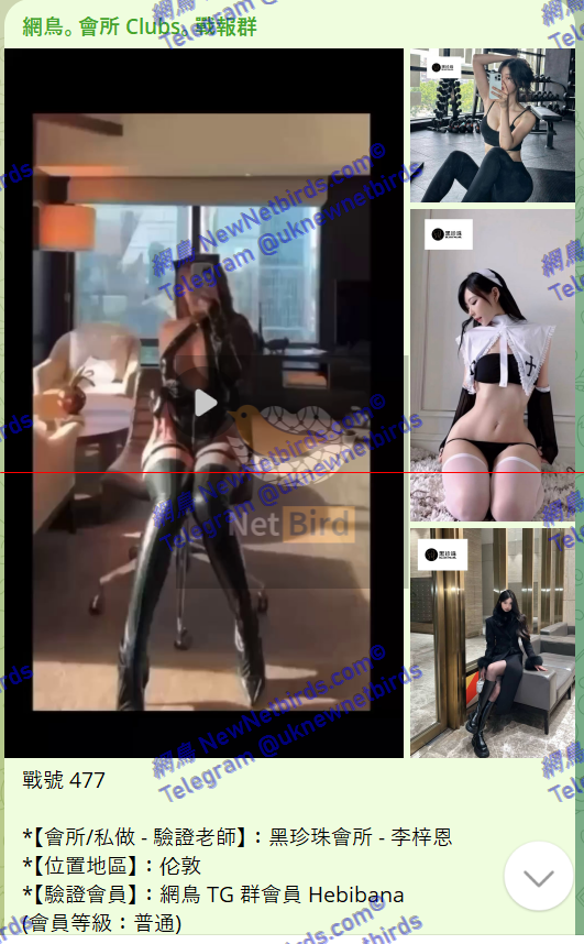 戰號 477 1.png